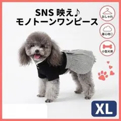 ドッグウェア XL 和服 小型犬ちゃん用　はかま　紋付袴　ペット服 犬 結婚式