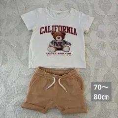 セットアップ70〜80㎝