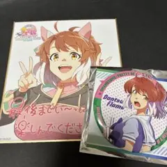 ウマ娘 ダンツフレーム グッズ まとめ売り