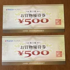 ヤマダ電機　お買物優待券