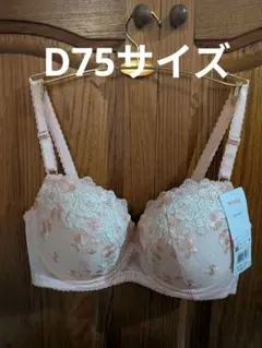 ワコール、Wing 、ナチュラルアップブラD75サイズ。のサムネイル
