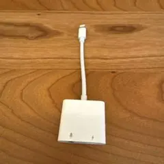 Item thumbnail for item 6a4a82cb-a5af-47ff-bc1c-16c8e79308d0