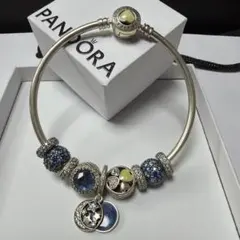 PANDORA パンドラ 銀製 シルバーバングルブレスレット チャーム9個付 