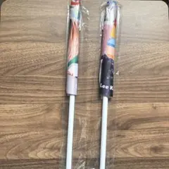 straykids スキズ フォトフラッグ リノ アイエン