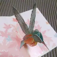 グリーティングカード ポップアップ 3D 立体 手紙 (鳥)