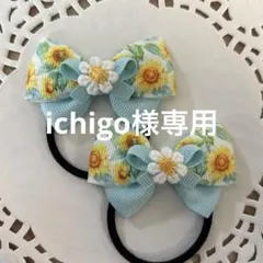 ichigo様 リクエスト 3点 まとめ商品