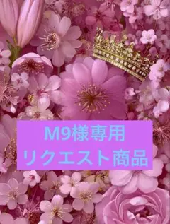 M9様 リクエスト 4点 まとめ商品