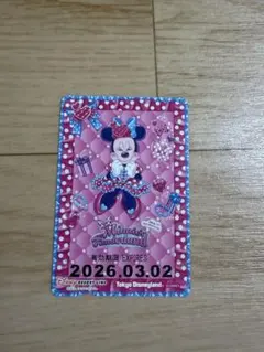 リゾートライン フリーきっぷ ミニー④