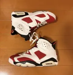 Nike Air Jordan6 Carmineカーマイン　26.5cmのサムネイル