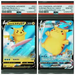 2025年最新】なみのりピカチュウ psa10の人気アイテム - メルカリ