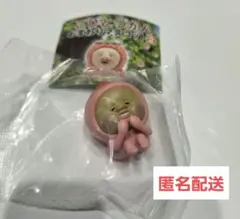 カクレモモジリ（ヨウニン期）/こびとづかんおすわりマスコット2　シークレット