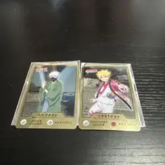 【非売品・限定】NARUTO ニジゲンノモリ忍里 特典カードカカシ＆ボルト 2枚