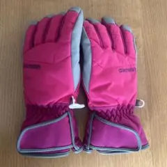 スキー手袋 アクセサリー