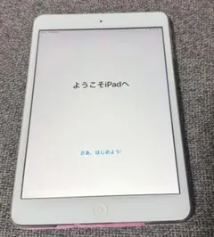 iPad mini2