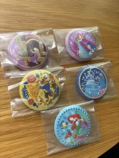 ディズニー　刺繍缶バッジ　プリンセスセット