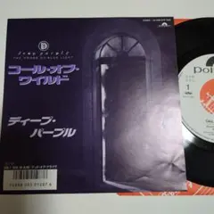 レコード新品同様! リトルフィート ディキシーチキン1977年発売 補充票