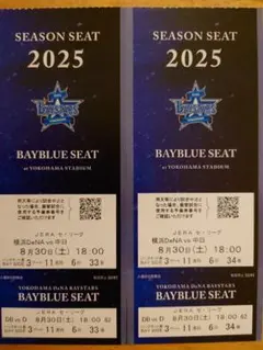 巨人対横浜DeNA8月22日(金)グランドウイングペアチケットビュッフェ付き 巨人対横浜DeNA8月22日(金)グランドウイングペアチケットビュッフェ