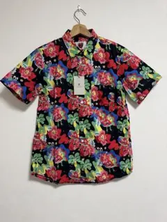 Item thumbnail for item 8acd1c08-9af2-42bb-85cd-6083b188bb27