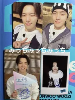 SEVENTEEN NANA bnb ナナ民泊 トレカ ディノ