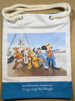 ディズニーシー25周年 イマジニング・ザ・マジック 토트 백