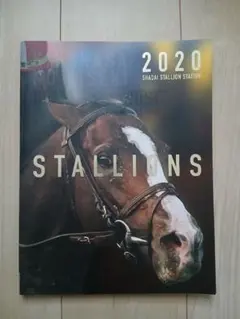 2026年最新】社台スタリオンの人気アイテム - メルカリ