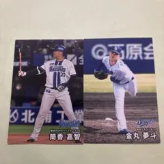 プロ野球チップス2025 カード