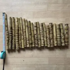布袋竹ーー25