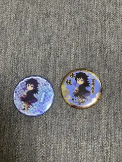 鬼滅の刃 冨岡義勇 缶バッジ 2点セット ニジゲンノモリ
