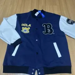 Item thumbnail for item 299ba6a0-7782-464a-b970-27a6d1524f84