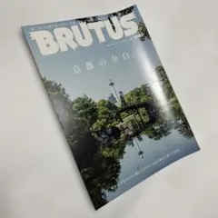 Item thumbnail for item 083cc702-cd3a-494a-b7ed-c42d66b3429e