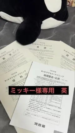 2026年最新】河合塾 サクセスクリニック 第2回の人気アイテム - メルカリ