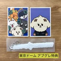 バムグッ プルバトゥ TXT ACT TOMORROW アプグレ特典