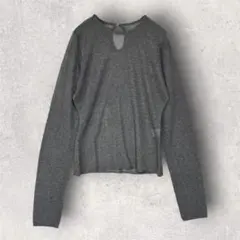 CITEN/シテン　シアーカットソー　トップス　長袖　ラメ入り　薄手　ニット　Fのサムネイル