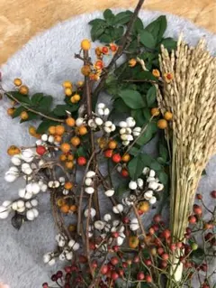 Item thumbnail for item 9a435403-dfd0-47f1-a839-48faf0395d91