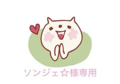 SKZOO 10cm ぬいぐるみ服 たんたかたん様専用 - メルカリ