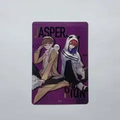 Crazy Raccoonチップス/CRチップス　ステッカー　じゃすぱーrion