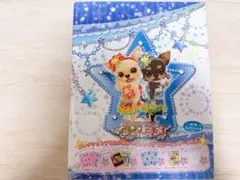 ワンタメ ミュージックチャンネル　DS対応カード　セミコンプ