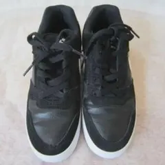 ナイキ エスビー デルタフォース　黒/白　23㎝　ok2510B