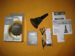 Item thumbnail for item 368ce380-dfc6-4730-b8ba-900886e85923