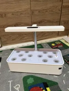 水の庭　水耕栽培のサムネイル
