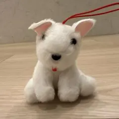 白い犬のぬいぐるみ 赤い首輪付き - メルカリ