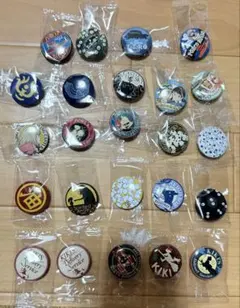 ジブリがいっぱい　缶バッジコレクション　⭐︎24個セット⭐︎