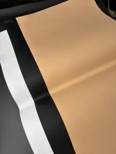 Item thumbnail for item e0f4d295-0549-49b3-ac40-5767da4ab2fb