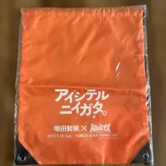 【新品未開封】アルビレックス新潟　ナップサック