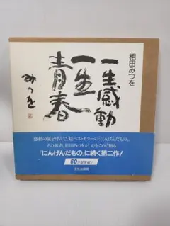 相田みつを 一生感動 青春 - メルカリ