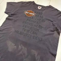 Item thumbnail for item e54739f5-4102-4e26-9360-68a45f02b59e