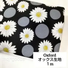 Item thumbnail for item 7b91db70-dc11-4c3c-b611-fb22f586ef56