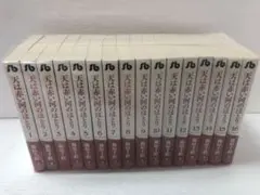 天は赤い河のほとり 1〜28巻 全巻セット ➕ファンブック ➕1冊 - メルカリ