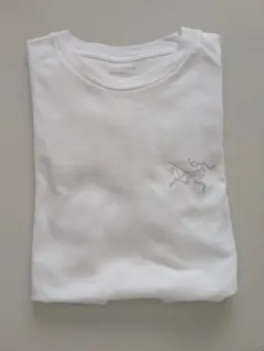 旧ロゴ 希少 ARC'TERYX Tシャツ 初期 アークテリクス 00s M - メルカリ