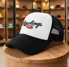 Item thumbnail for item 807d32ea-b641-4829-a906-bc675f0caa17